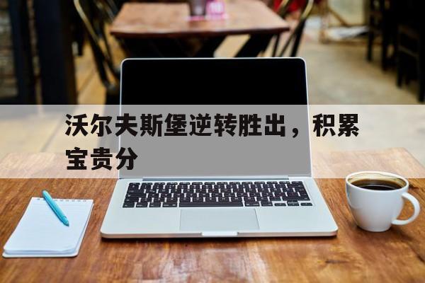 开云体育-沃尔夫斯堡逆转胜出，积累宝贵分的简单介绍