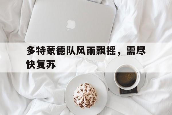 开云体育官网-多特蒙德队风雨飘摇，需尽快复苏