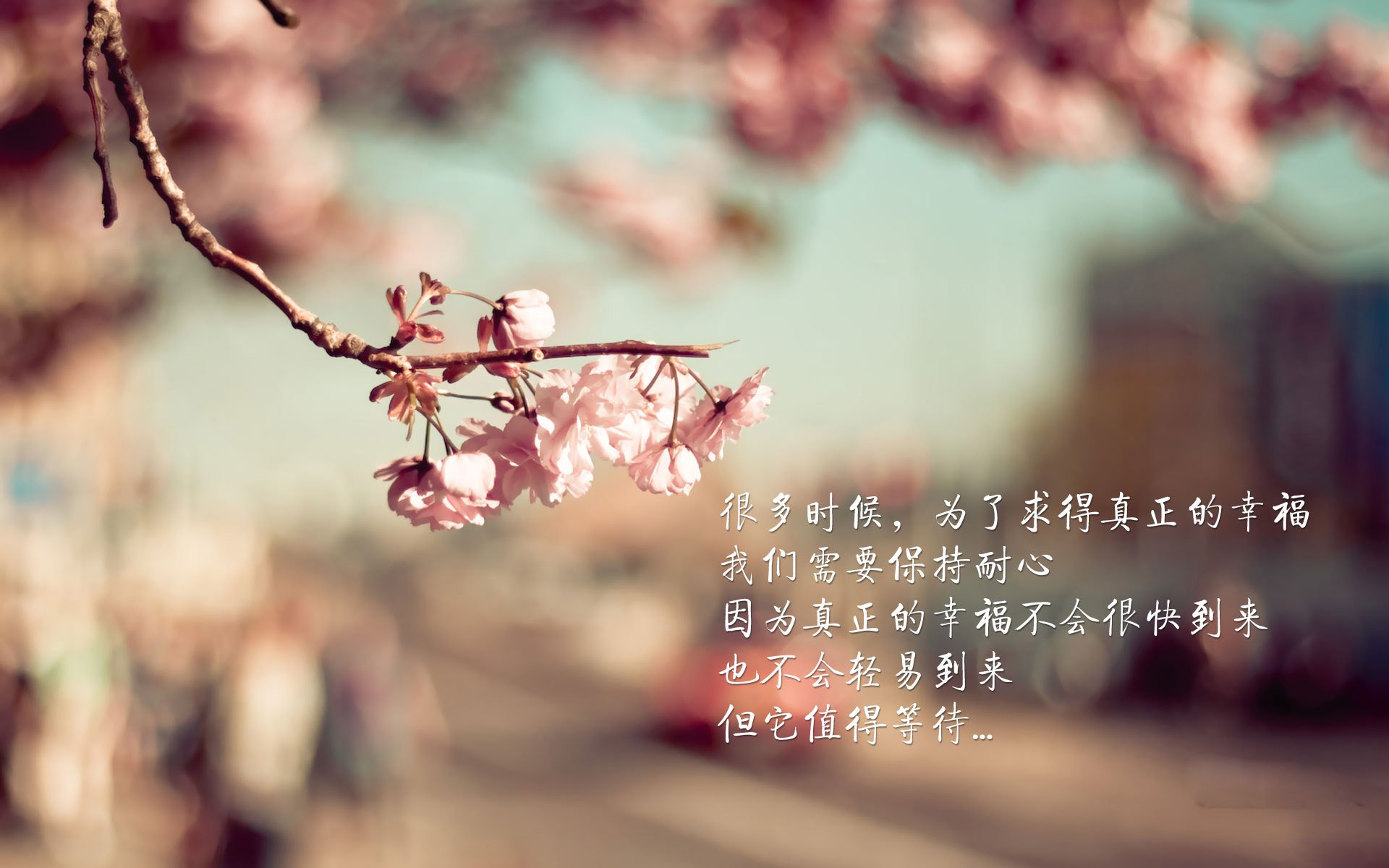 开云体育在线-雄鹿防守窒息步行者，浓眉统治级数据震撼联盟