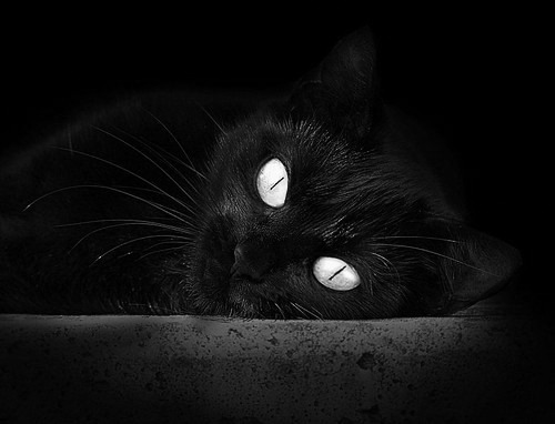 开云体育登录-飞驰的弧线，当F1引擎轰鸣遇见库里三分雨