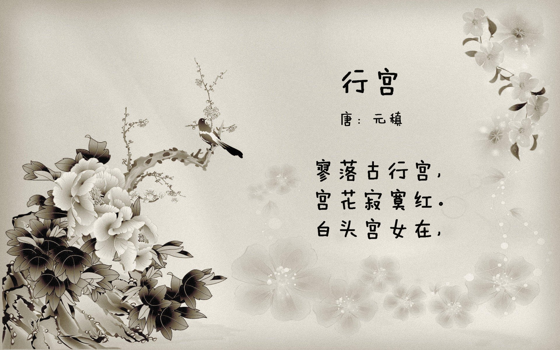 独行侠对阵76人，福克斯教科书级表现闪耀全场，诠释现代篮球智慧