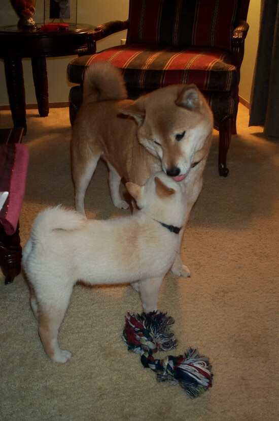 无可争议的全场最佳，伊萨克闪耀土卡之战，诠释现代锋线新定义