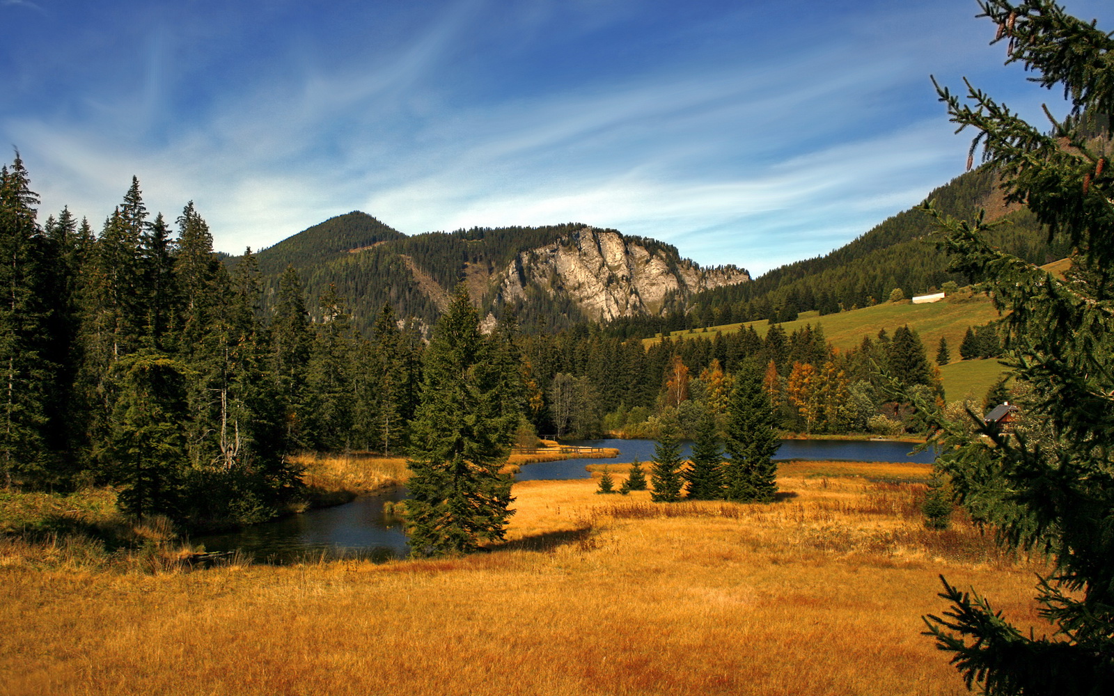 开云体育登录-皇家社会丹麦制霸记，当巴斯克铁骑遇上德布劳内的智慧密钥