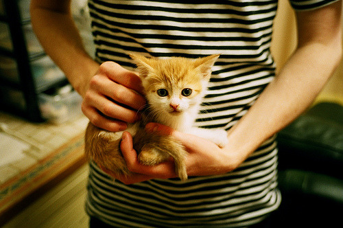 开云体育入口-跨越虚无的悬崖，当杜兰特在季后赛之夜评分拉满