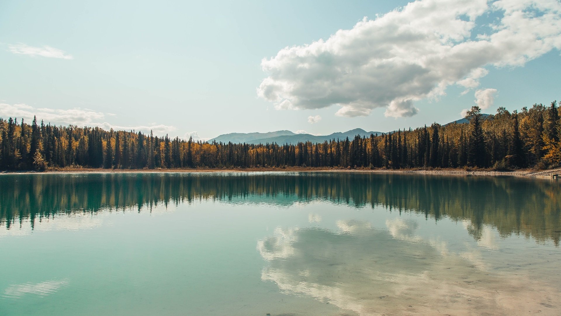 加克波，季后赛之夜的绝对掌控者
