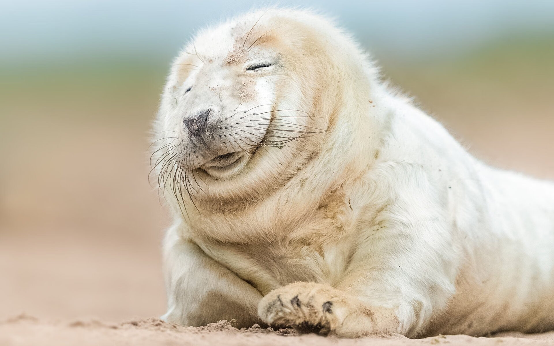 三笘薰爆发！当亚洲风暴在安菲尔德席卷，利物浦用一场过时的胜利向美国资本说不