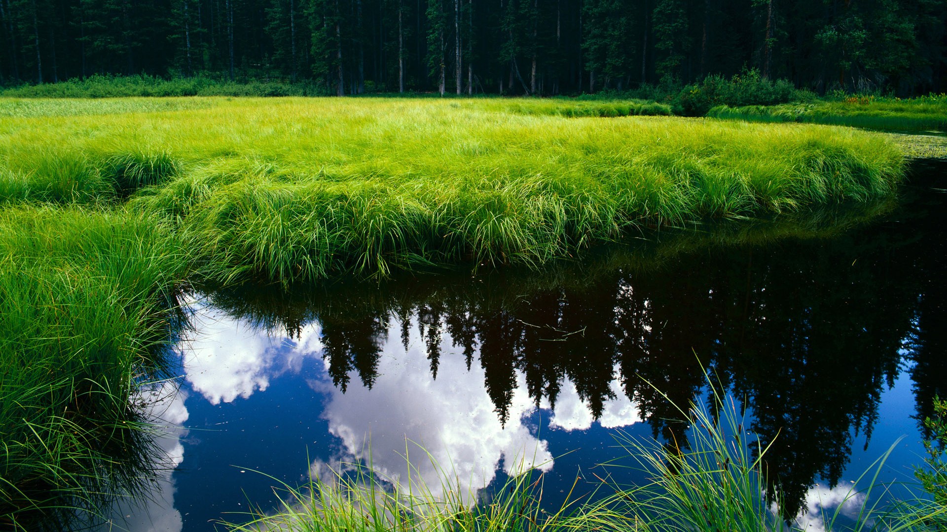 更大舞台,更狂表现,霍勒迪在休斯顿的火焰中燃烧国王王权