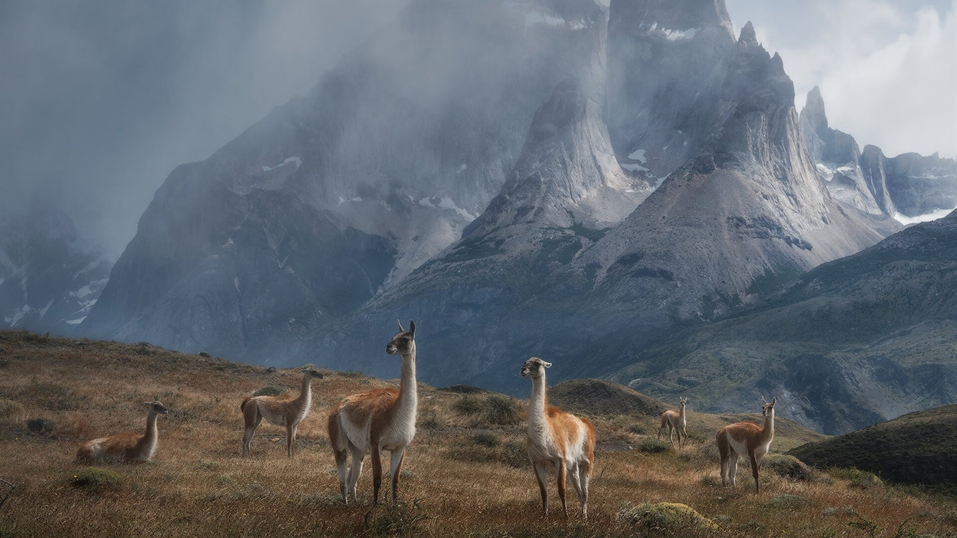 夜幕下的双雄会,西甲德比与利拉德的得分艺术
