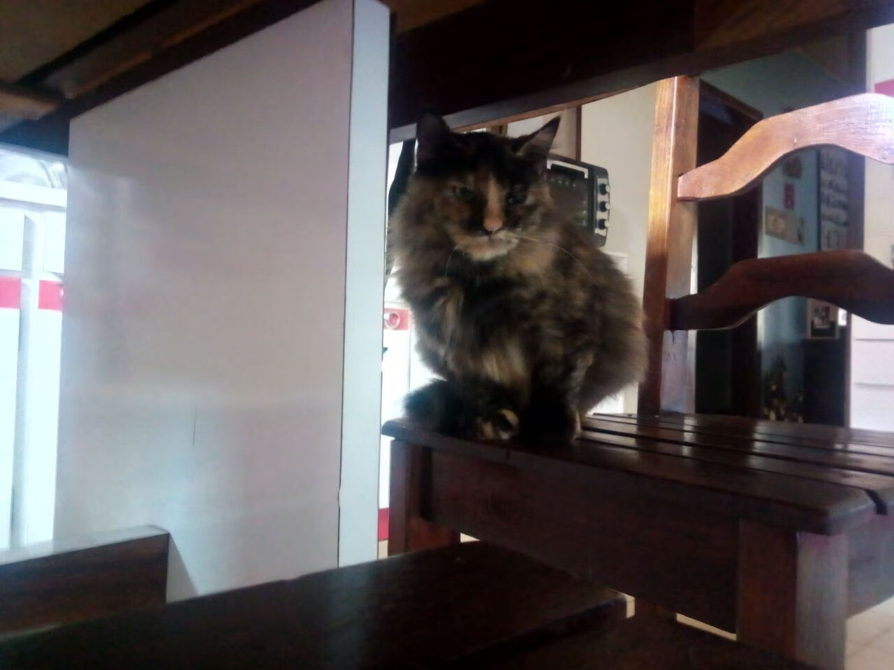 -纪录与绝杀，足球魅力的永恒交响