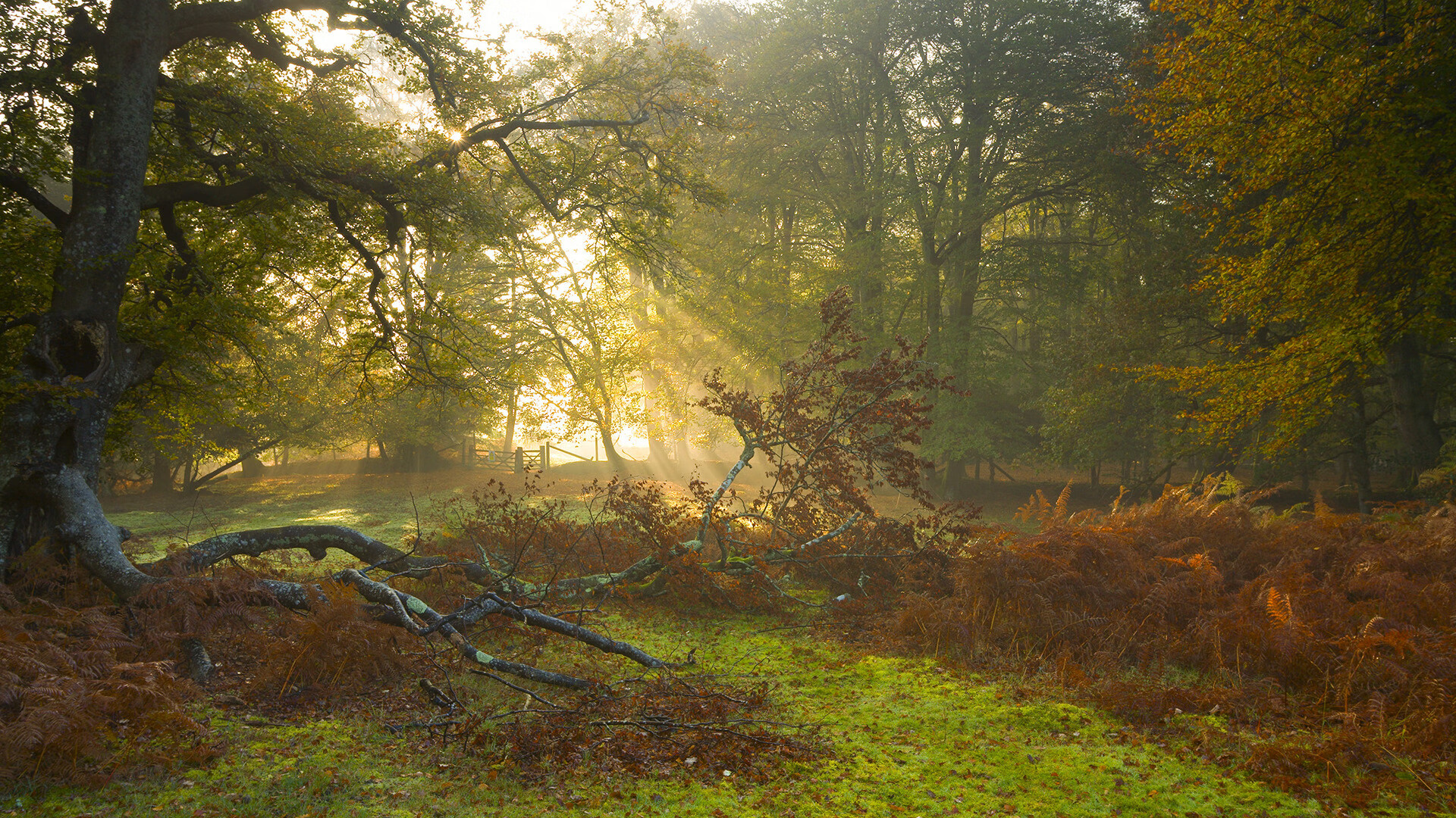 开云体育下载-两套剧本，巨星赌注与年轻革命