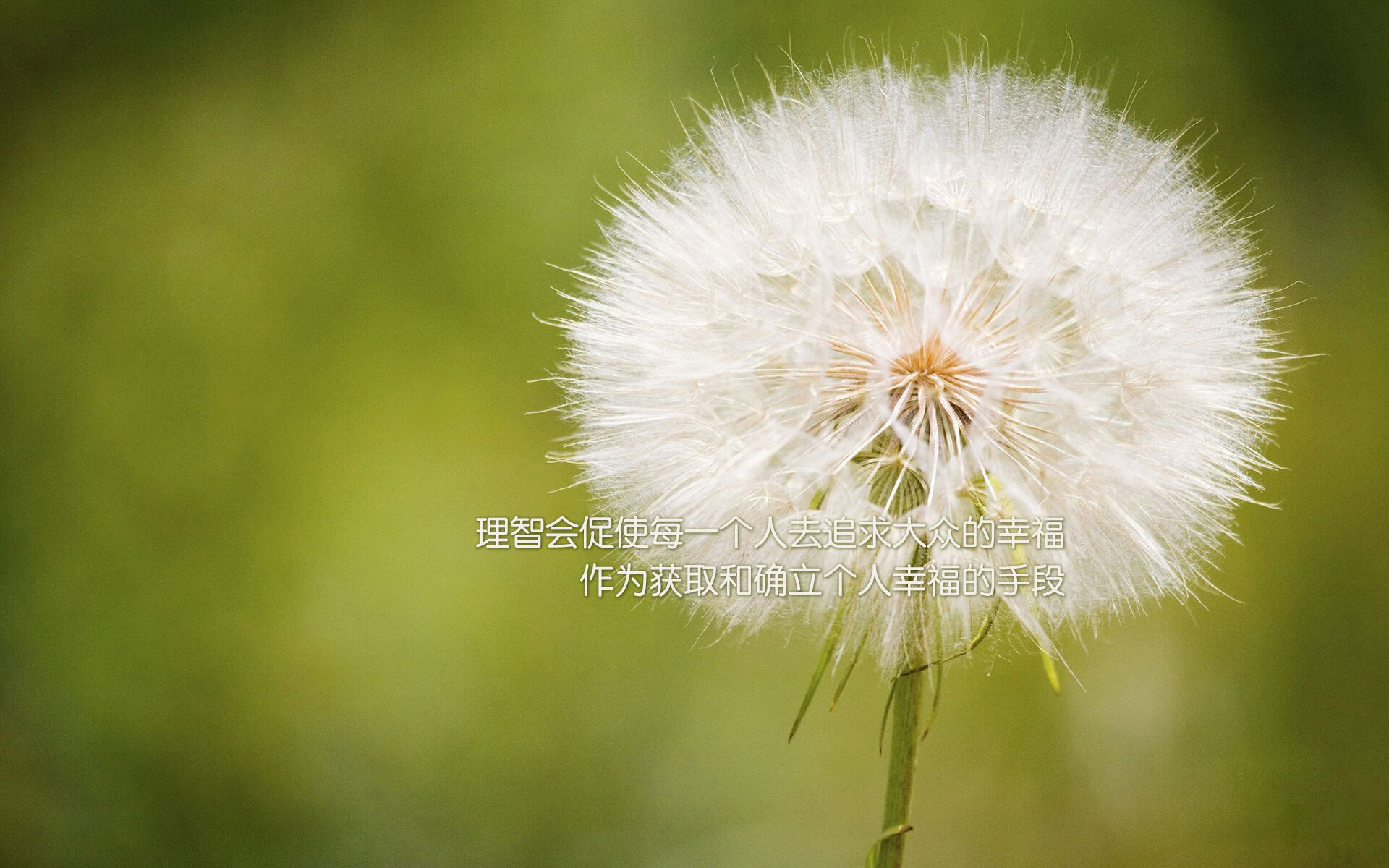 开云体育中国-伦敦雨夜血战 克城铁骑锁喉