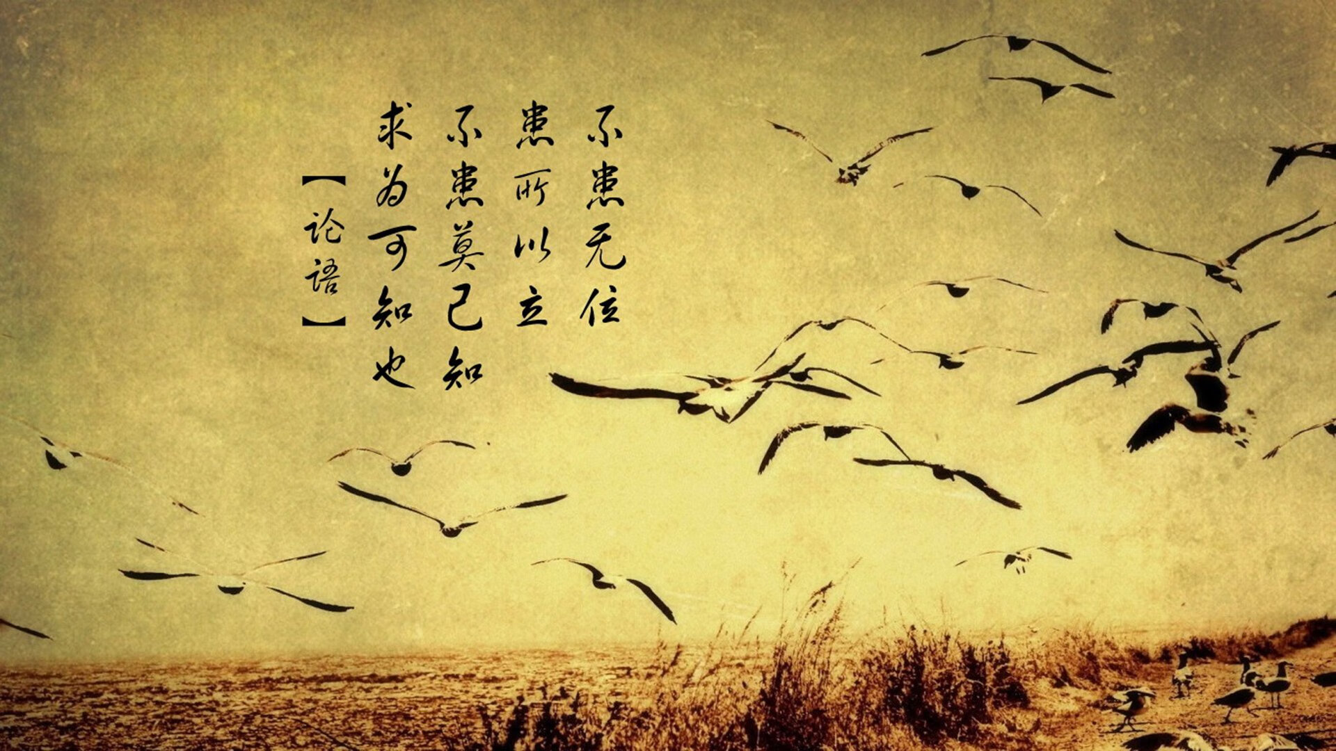 开云体育-北方利刃速斩灰熊，拉文以钢与火铸就证明之夜