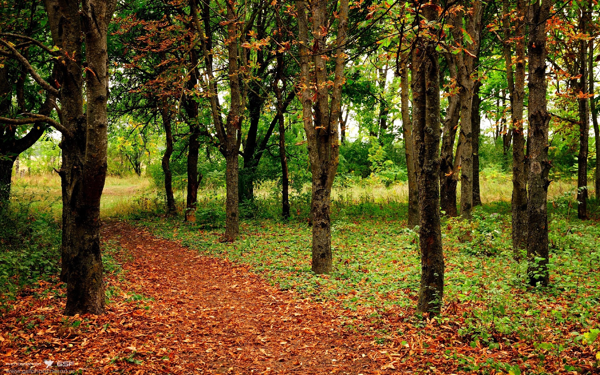 开云体育中国-绝境重生！步行者爆冷北京队，英格拉姆加冕关键先生新王