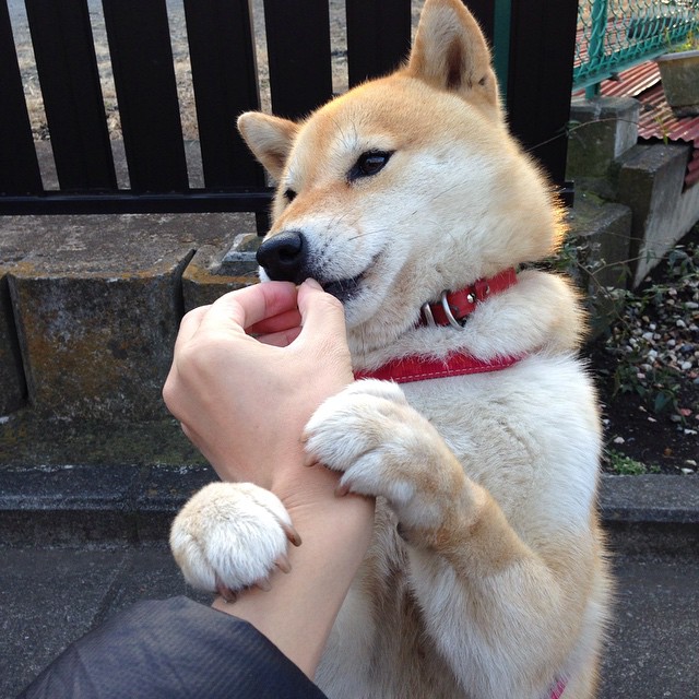 开云体育官方网站-德罗赞空砍38分难救主，太阳三巨头合力斩奇才赢关键卡位战