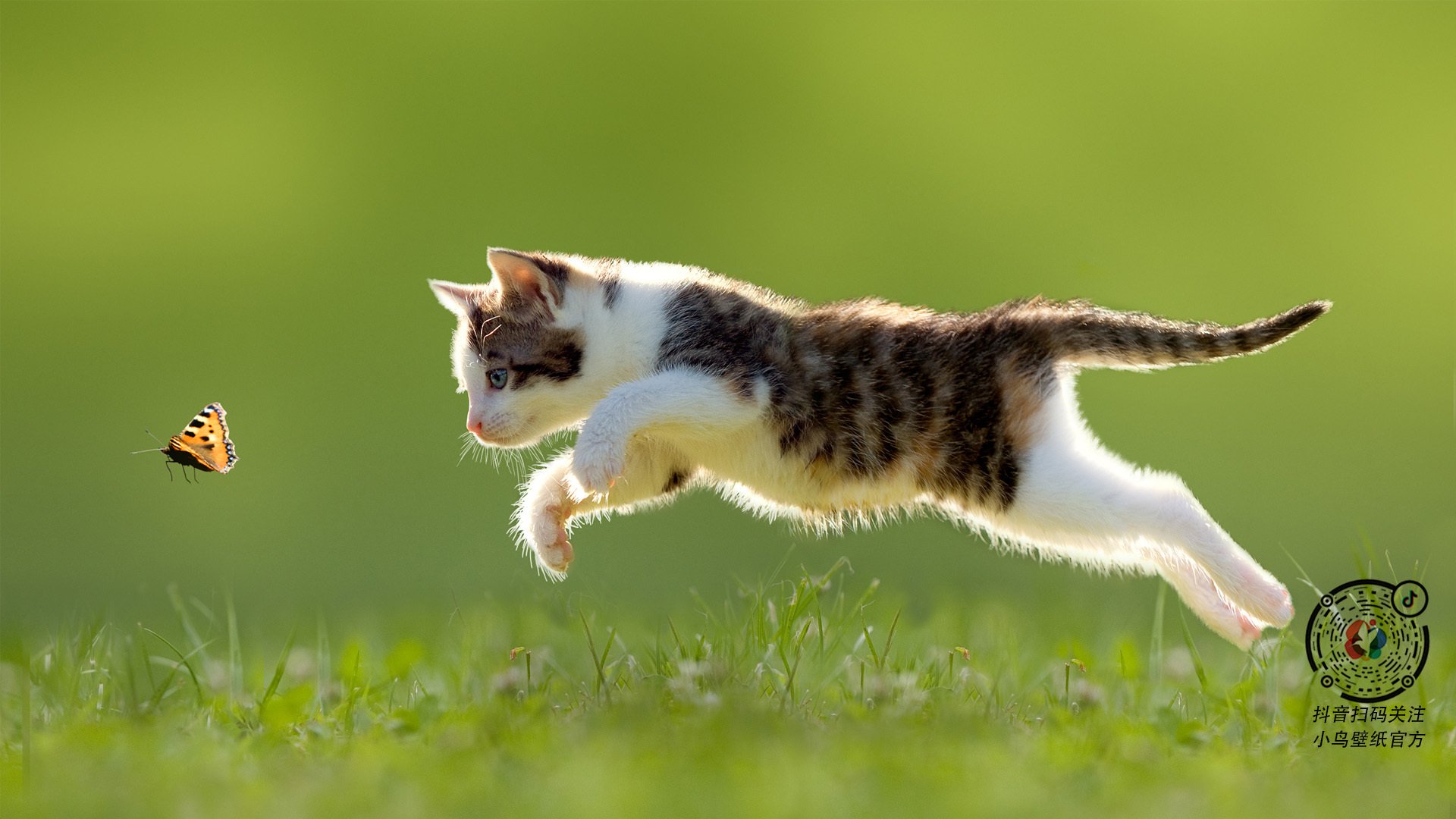 开云体育入口-在绝望的穹顶下，他为自己加冕，抢七之夜与奥利维耶的神迹