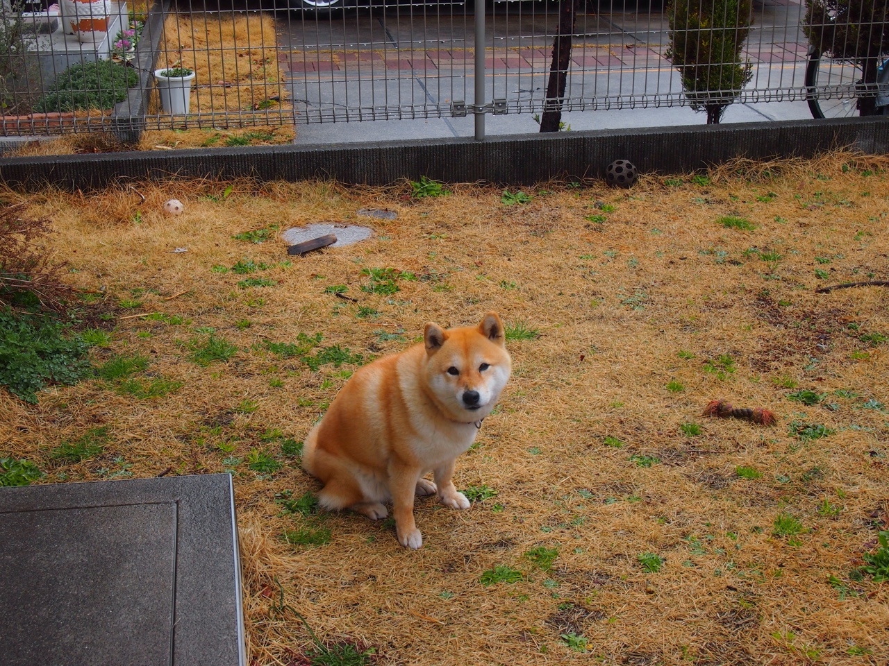 在绝望的穹顶下，他为自己加冕，抢七之夜与奥利维耶的神迹