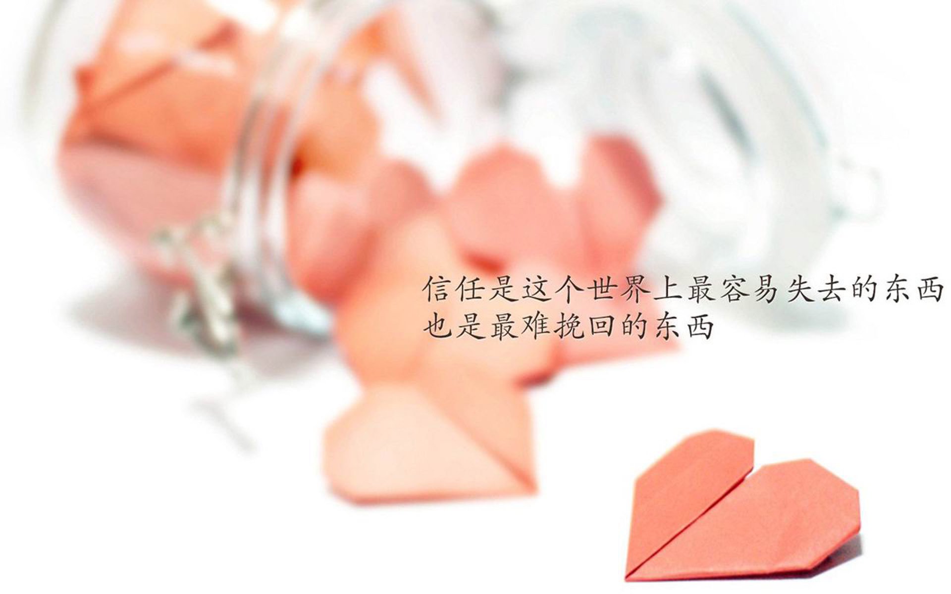2026世界杯惊天一役,穆西亚拉压哨绝杀,保加利亚横扫波兰引爆死亡之组