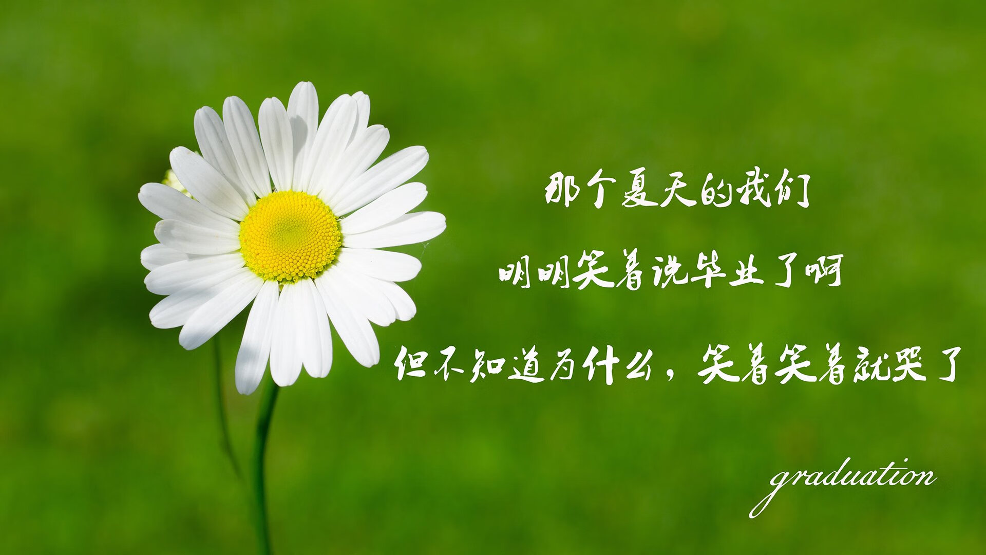 血色黎明，波兰铁骑踏破布达佩斯，防守反击铸就世界杯半决赛逆转神迹