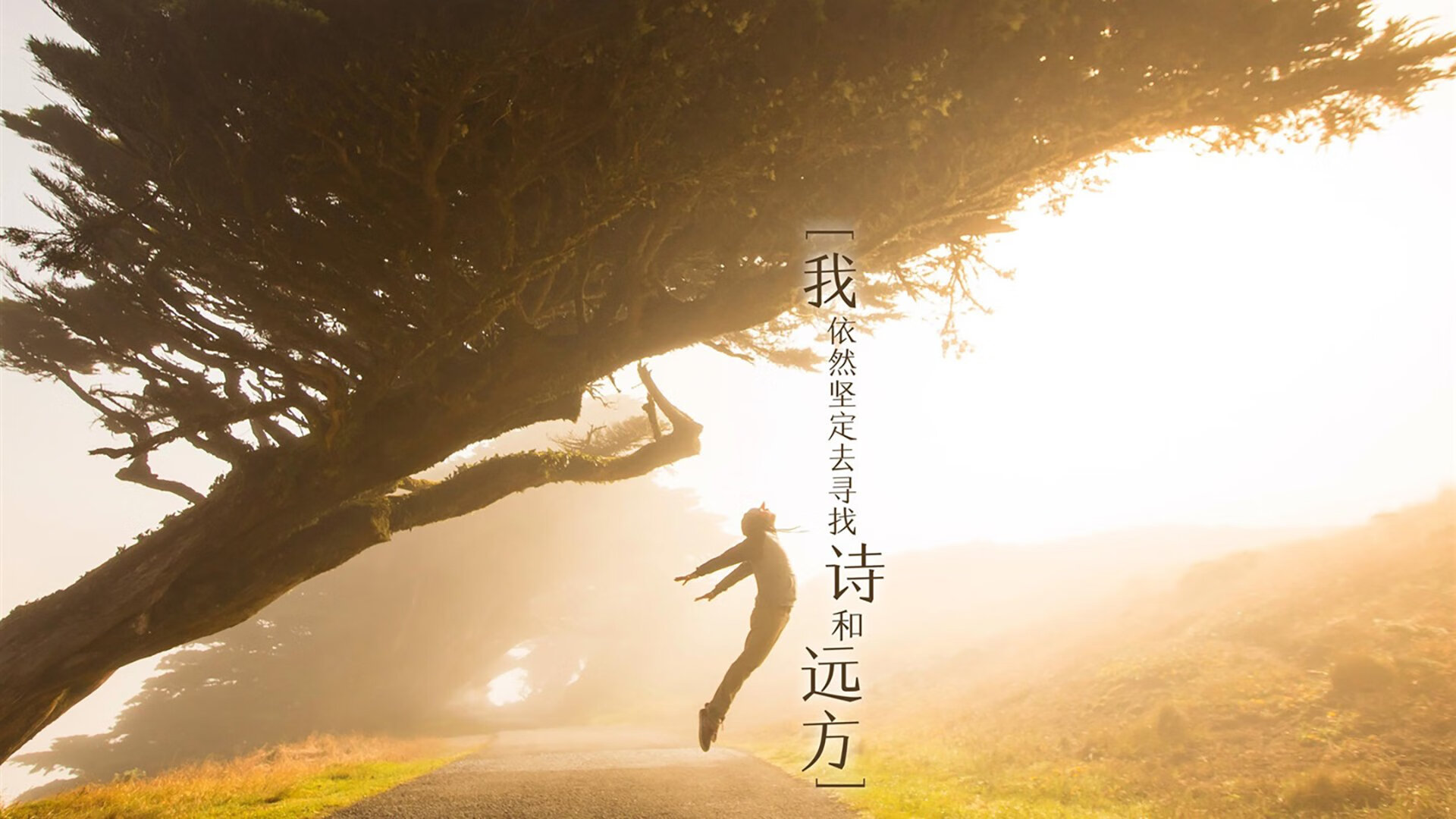 开云官网-命运的重演，库尔图瓦致命一击，乌拉圭逆转荷兰再写2026传奇