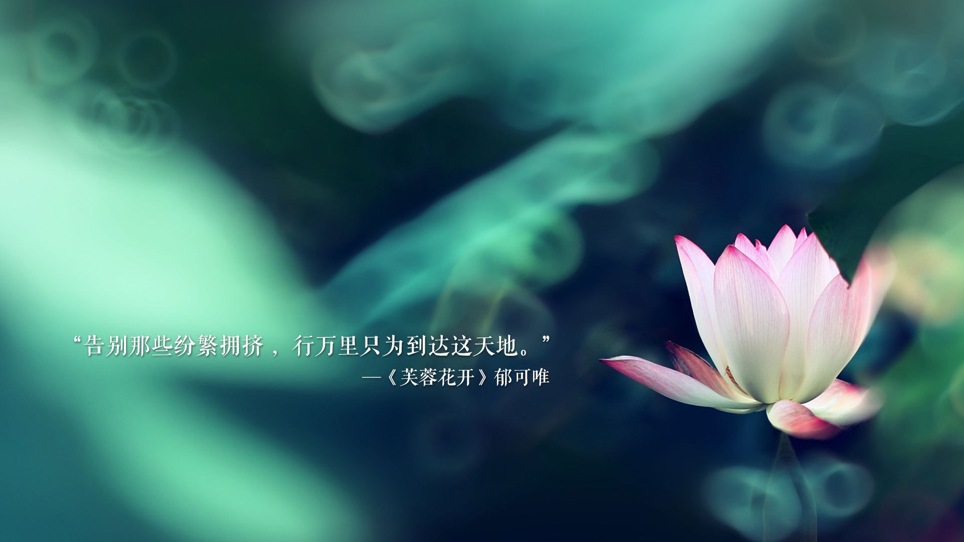 岁月不敌匠心，莫德里奇在2026世界杯C组战中诠释掌控的真谛
