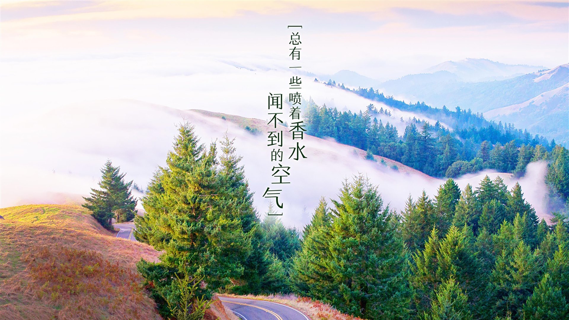 开云体育下载-法兰西的铁壁与新生代的锋芒—2026世界杯强强对话中的弱者悲歌